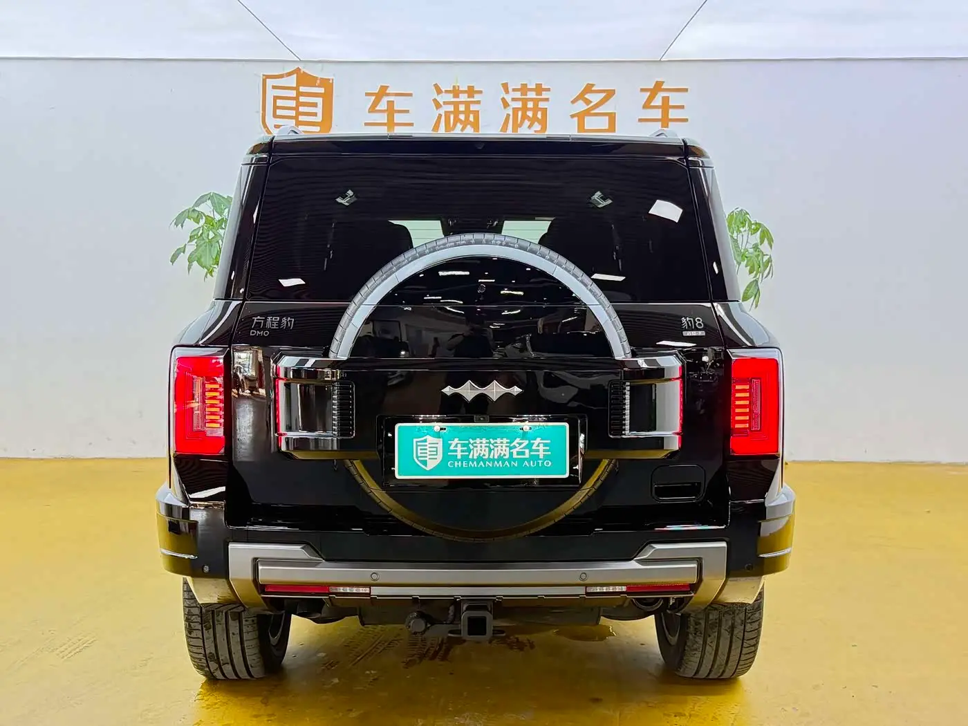 Fang Cheng Bao Leopard 8 2025 — Şəkil 10/12