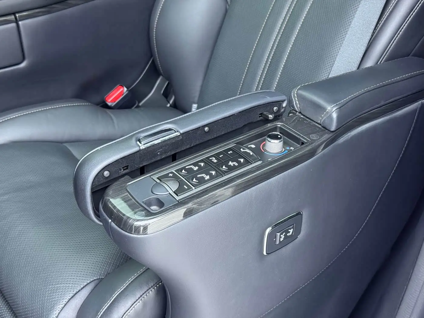 Lexus LM 2020 — Photo 8/14
