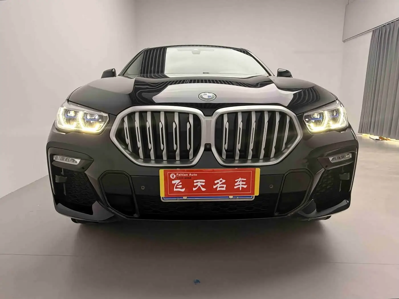 BMW X6, 2021