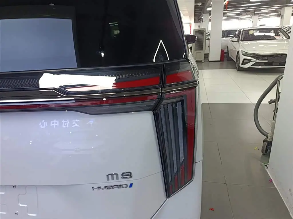 GAC Trumpchi Trumpchi M8 2023 — Şəkil 8/20
