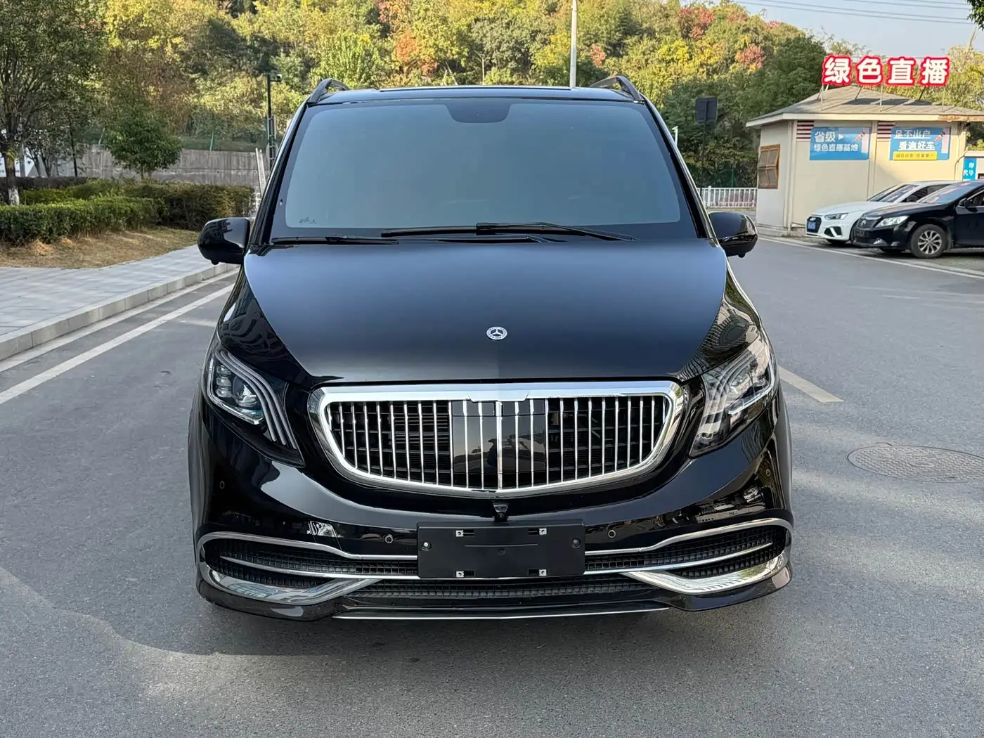 Mercedes-Benz Vito, 2024