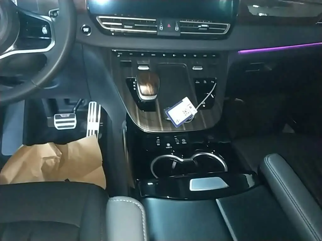Hongqi HQ9 PHEV 2024 — Şəkil 14/20