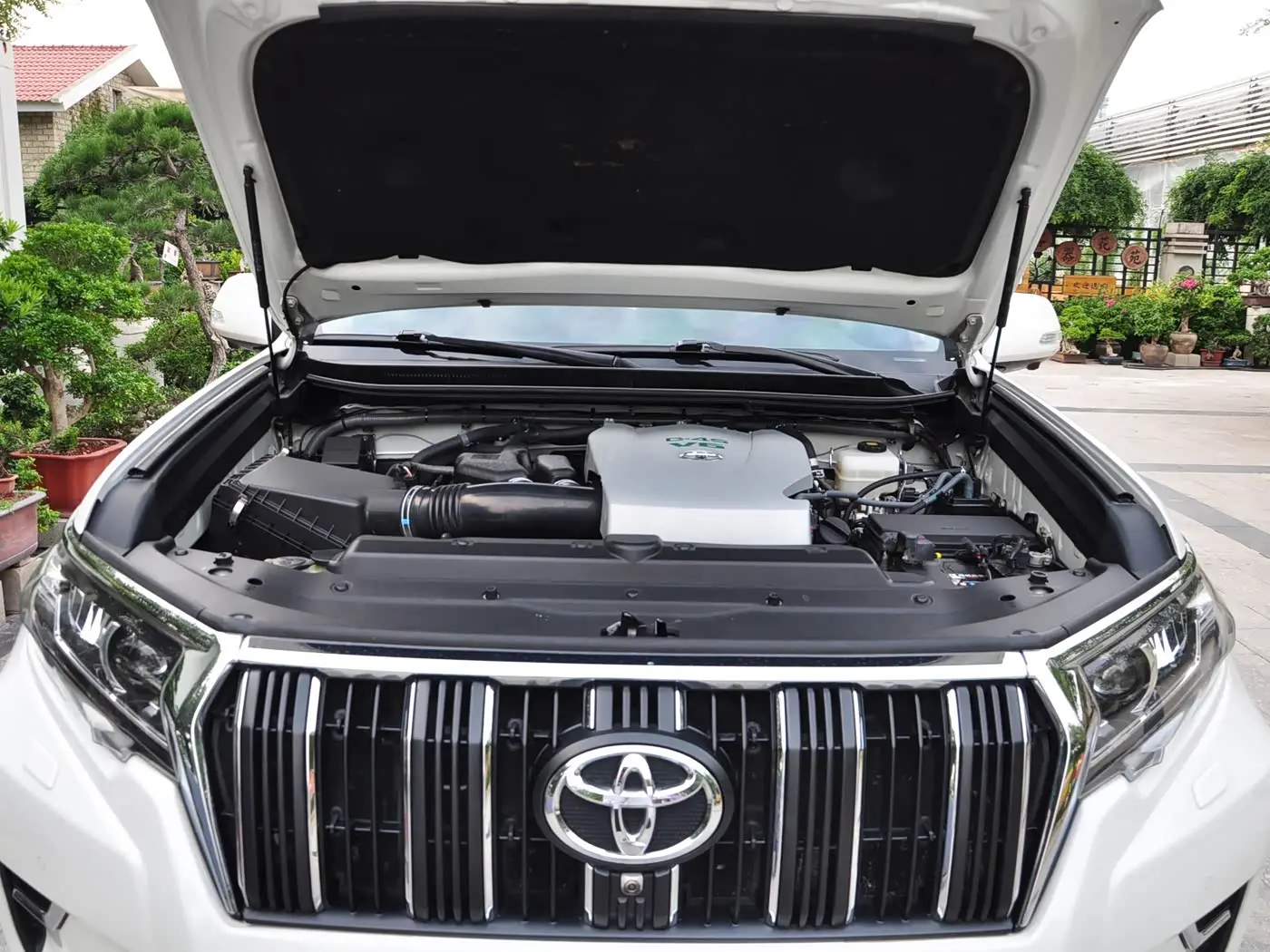Toyota Prado 2019 — Photo 17/18