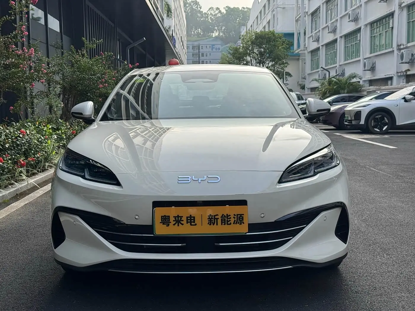 BYD Seal 06 New Energy 2025 — Фото 2/20