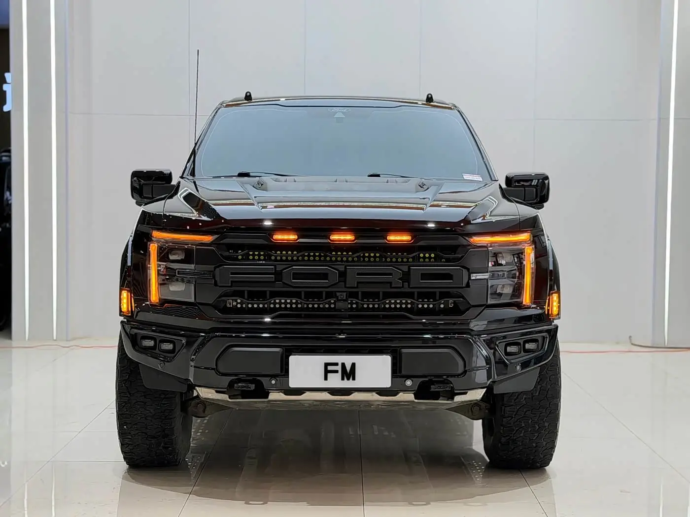 Ford F-150 Raptor 2023 — Photo 1/19