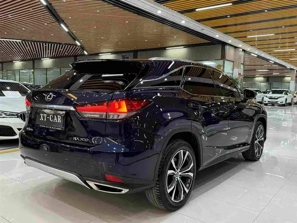 Lexus RX 2022 — Şəkil 9/9