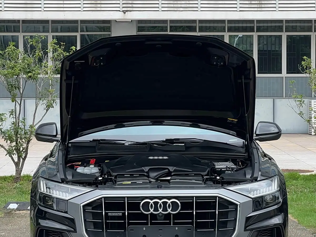 Audi Q8 2023 — Фото 8/20