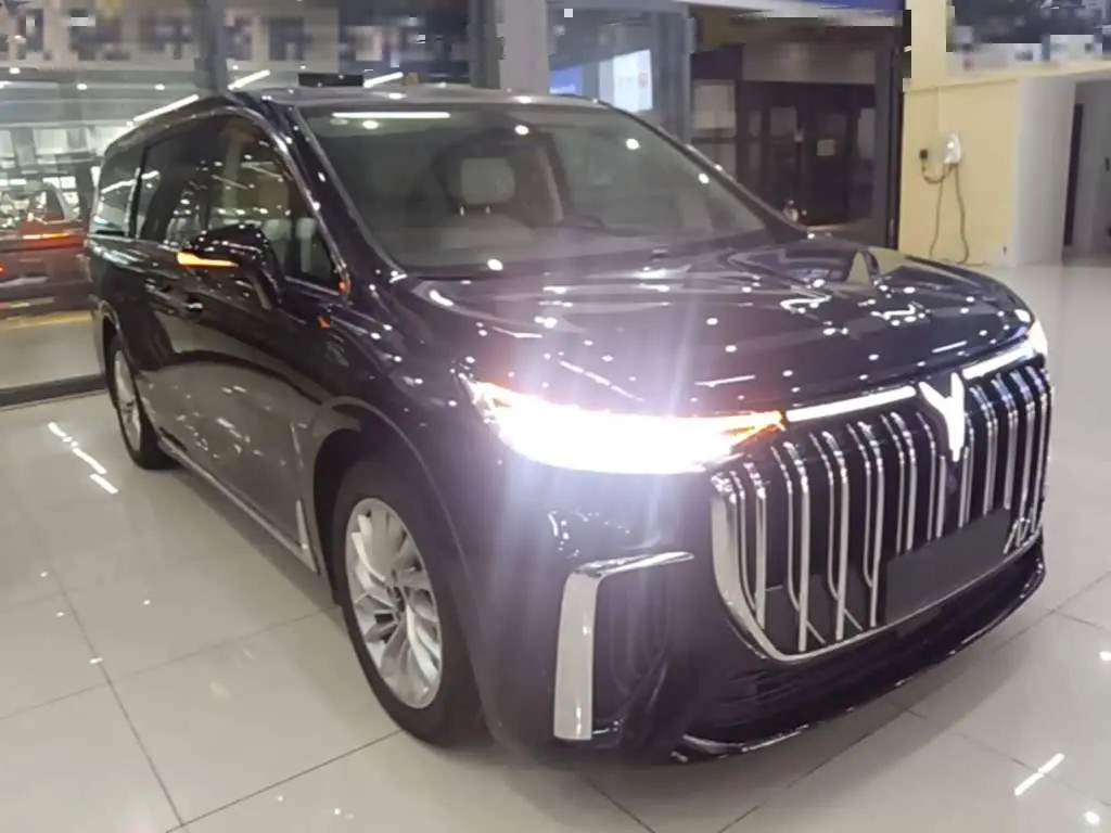 Voyah Auto Voyah Dreamer 2023 — Şəkil 4/20