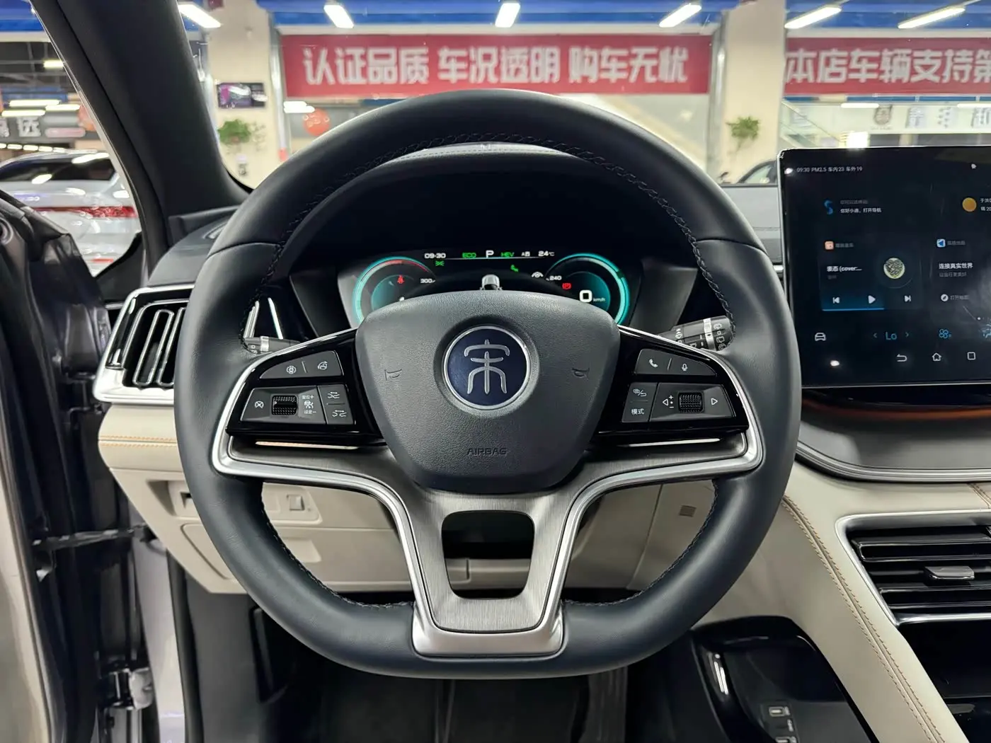 BYD Song PLUS PHEV 2023 — Фото 10/20