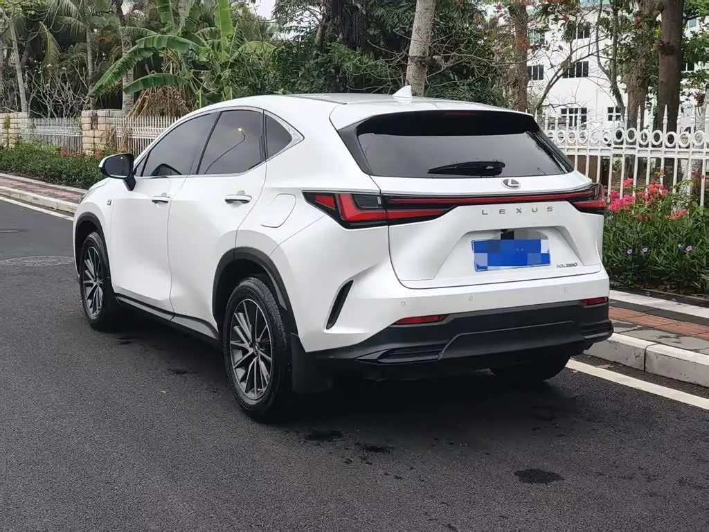 Lexus NX 2022 — Photo 7/9