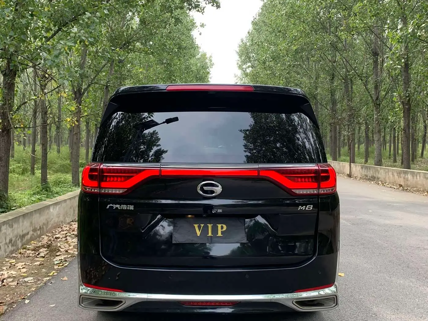 GAC Trumpchi Trumpchi M8 2022 — Фото 11/12