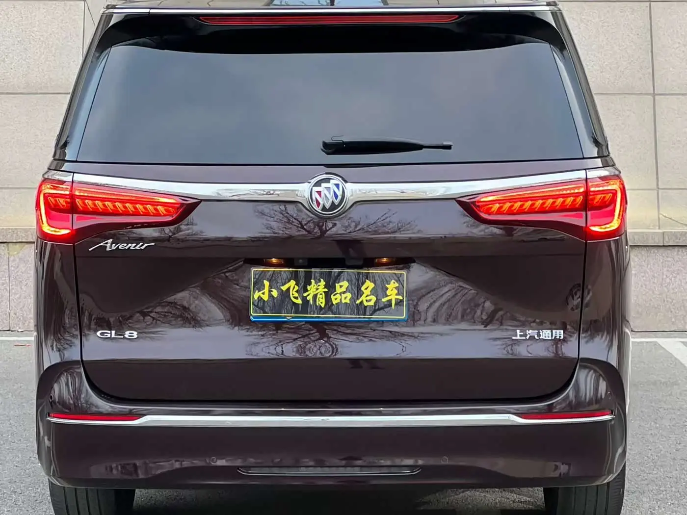 Buick GL8 2021 — ფოტო 6/9