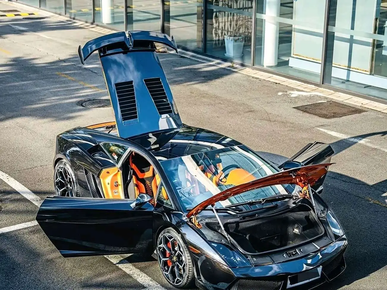 Lamborghini Gallardo 2014 — Şəkil 11/17