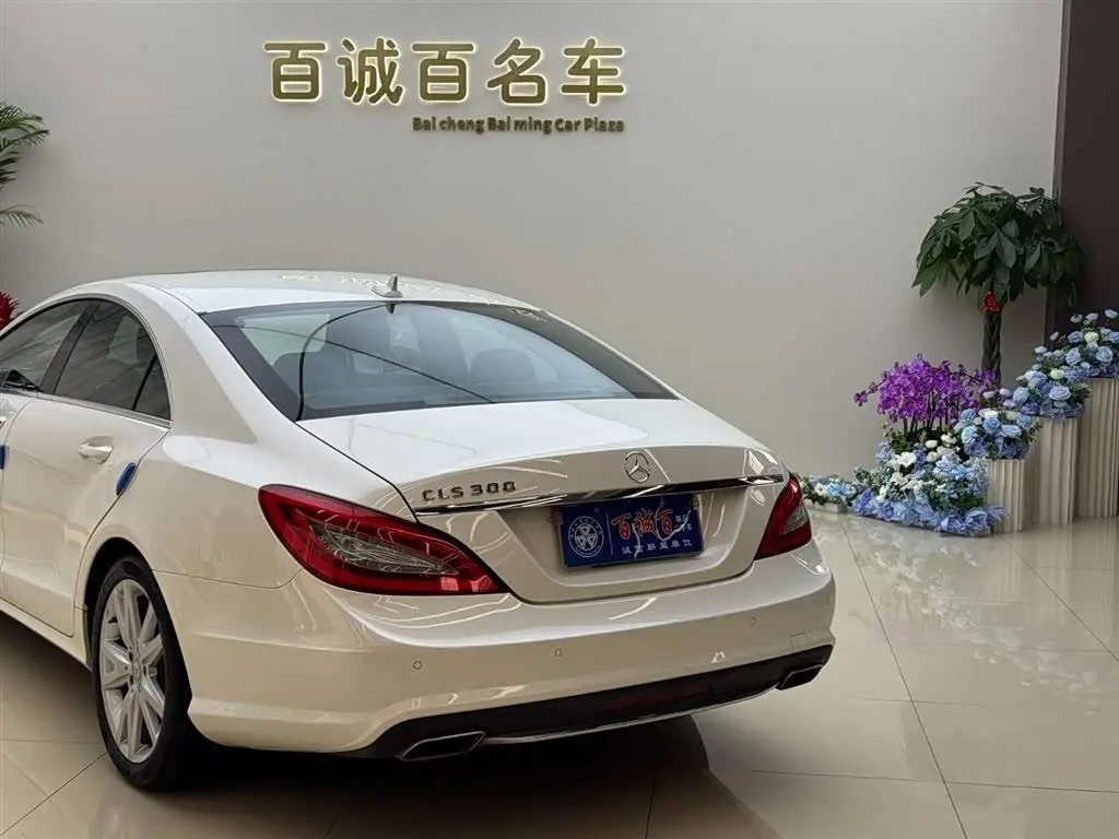 Mercedes-Benz CLS 2015 — Фото 8/19