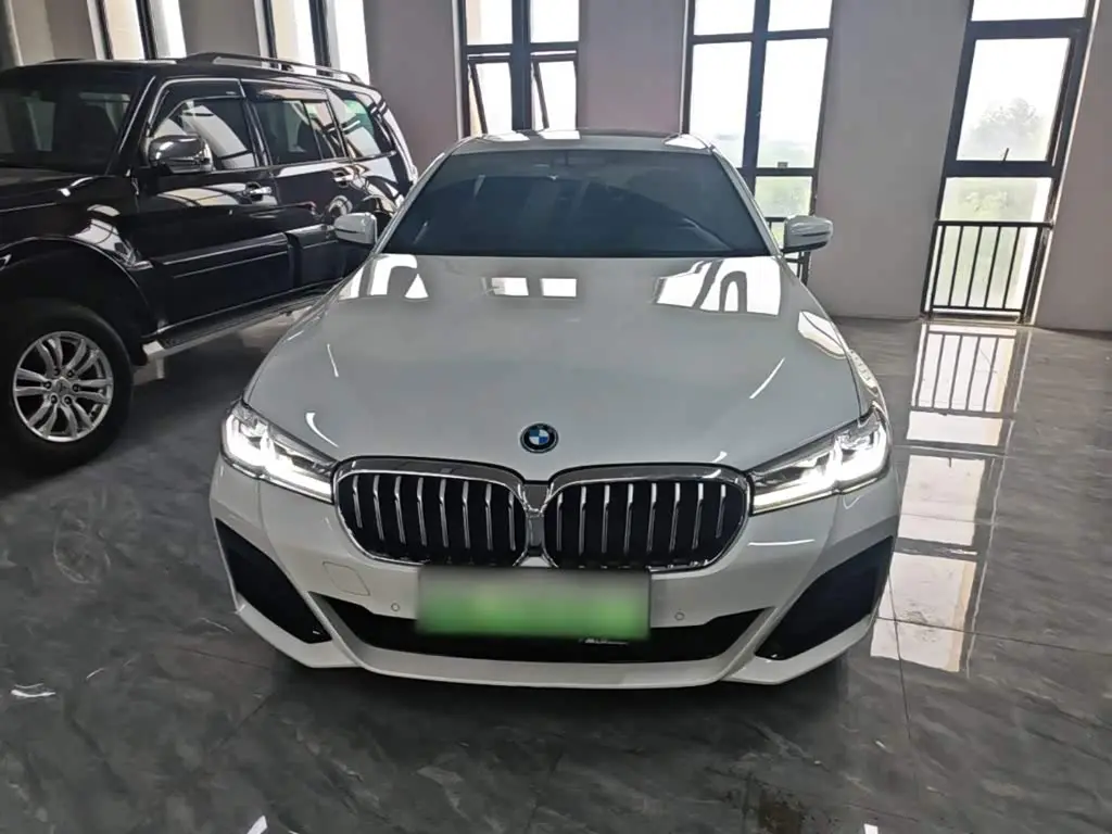 BMW 5 Series New Energy 2022 — Фото 3/20