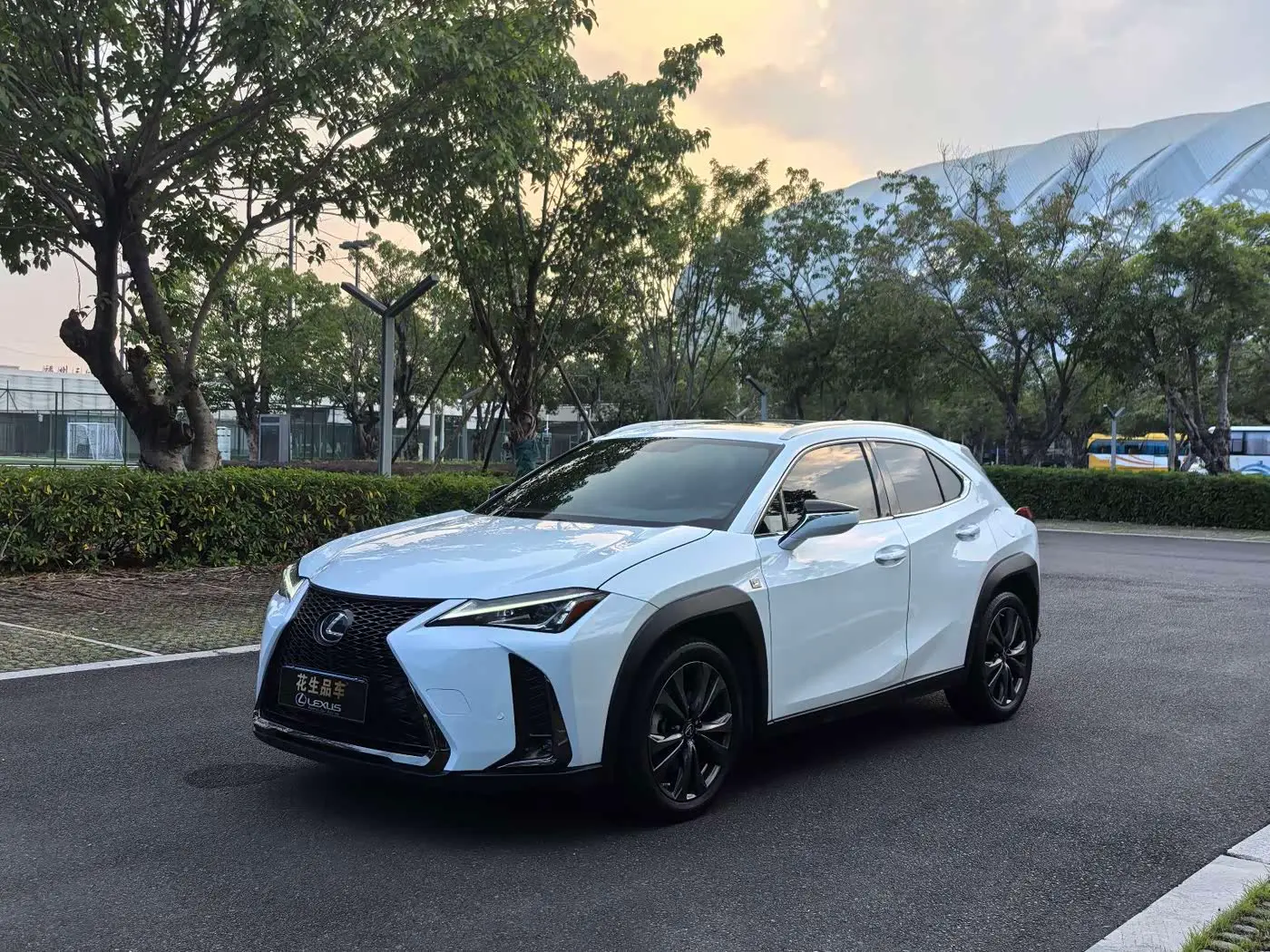 Lexus UX 2020 — Фото 3/20