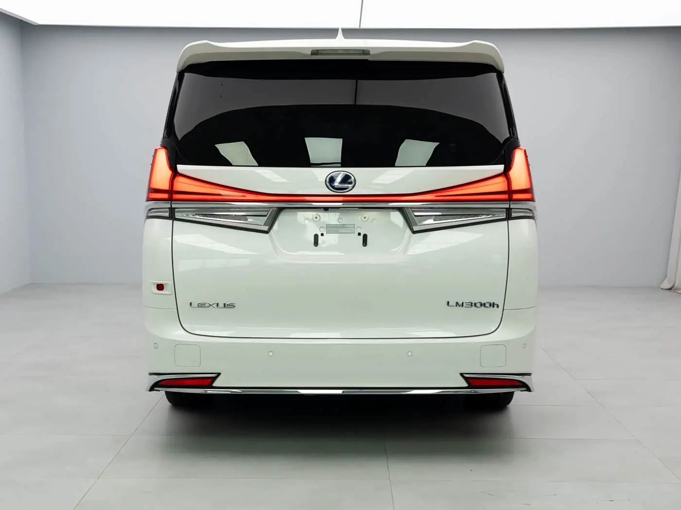Lexus LM 2021 — Photo 18/19