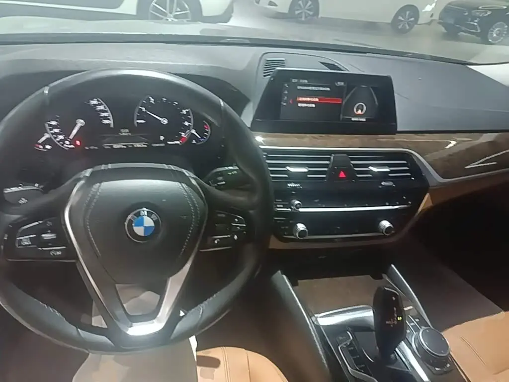BMW 5 Series 2017 — Фото 6/20