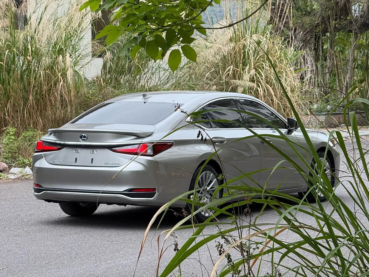 Lexus ES 2020 — Photo 4/20