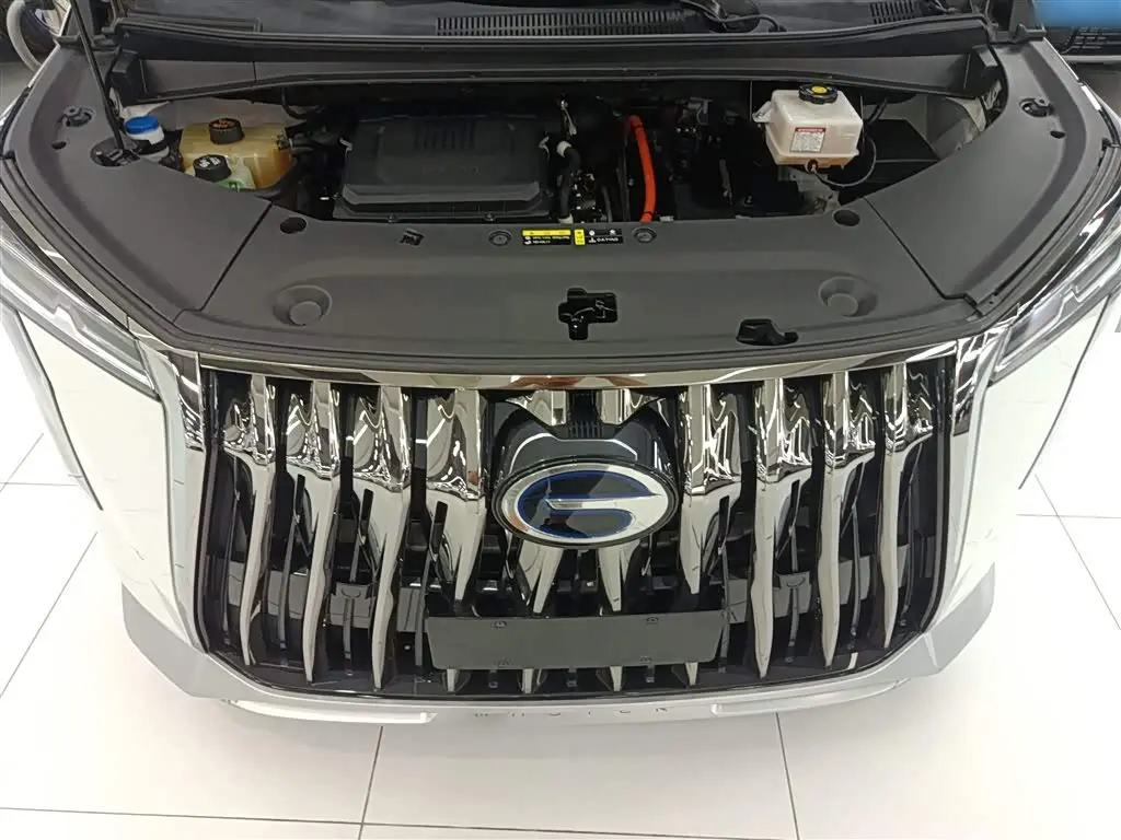 GAC Trumpchi Trumpchi M8 2023 — Şəkil 20/20