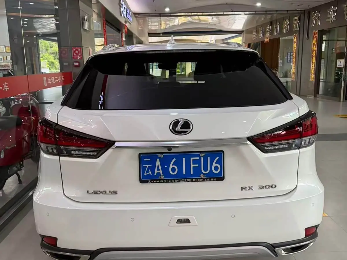 Lexus RX 2022 — Şəkil 4/13