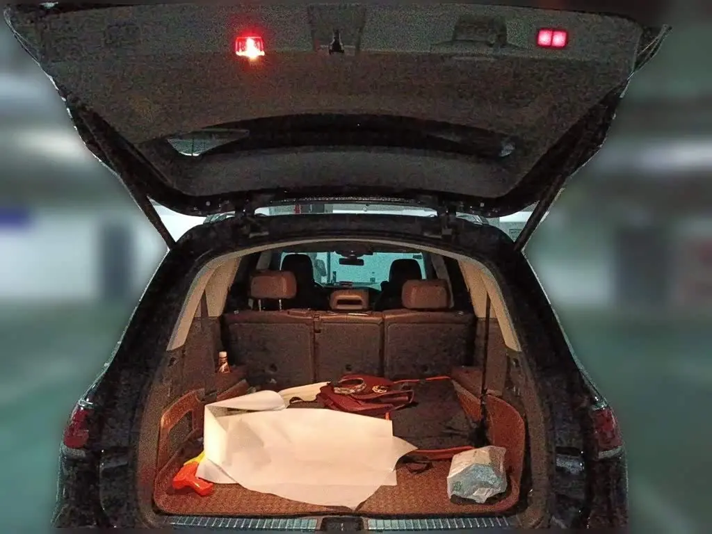 Mercedes-Benz GLS 2020 — Photo 15/20