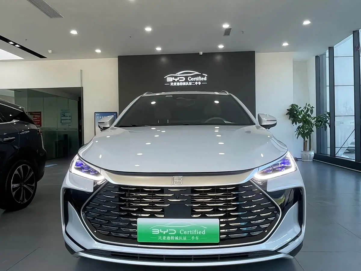 BYD Tang New Energy 2024 — Фото 2/18