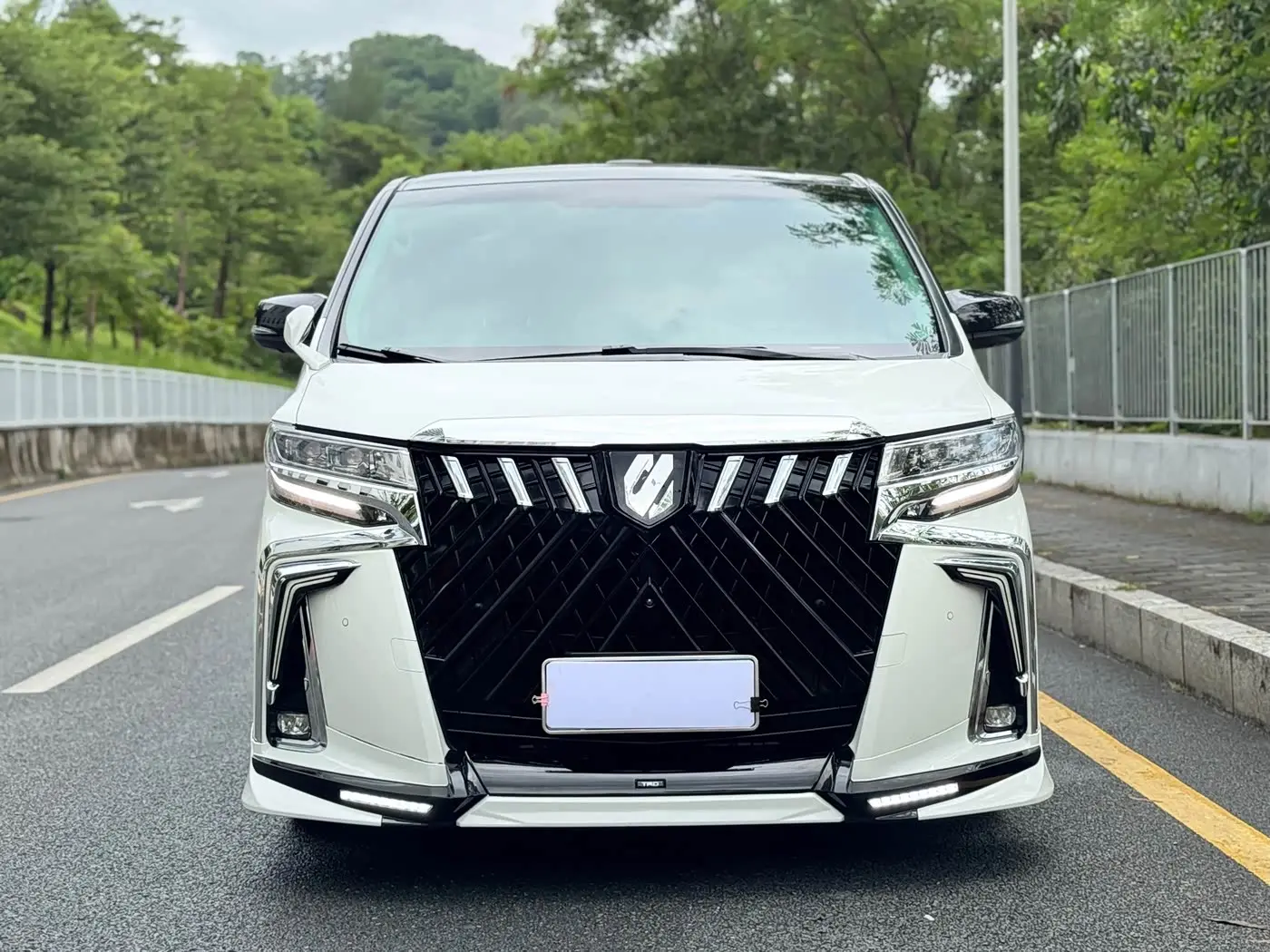 Toyota Alphard 2018 — ფოტო 5/20