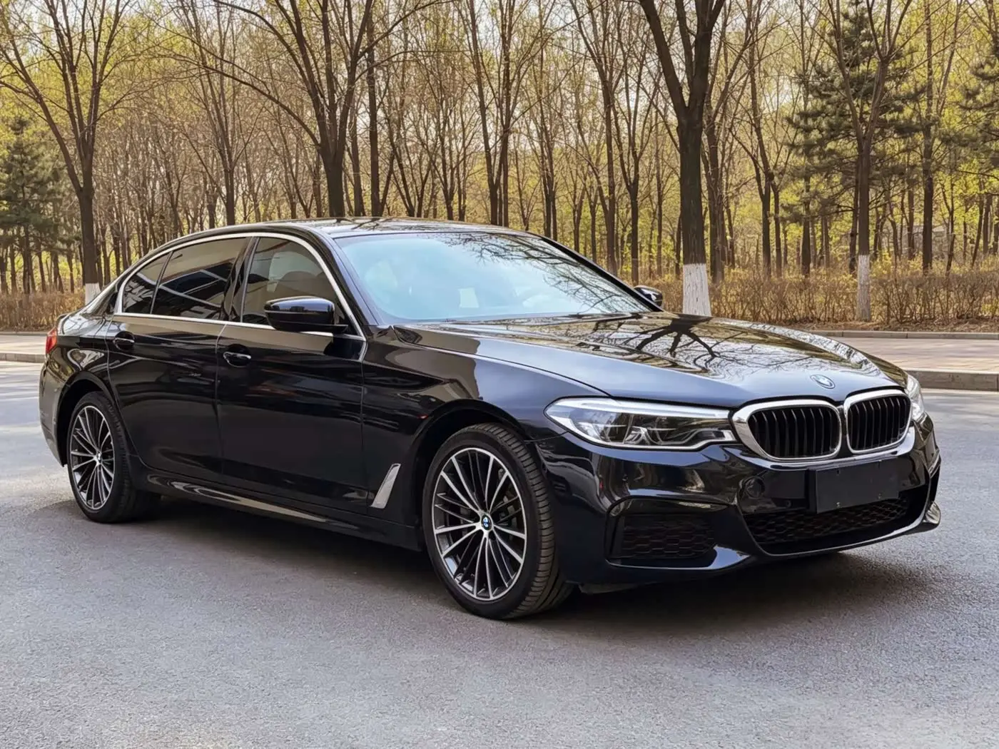 BMW 5 Series 2020 — Şəkil 8/20