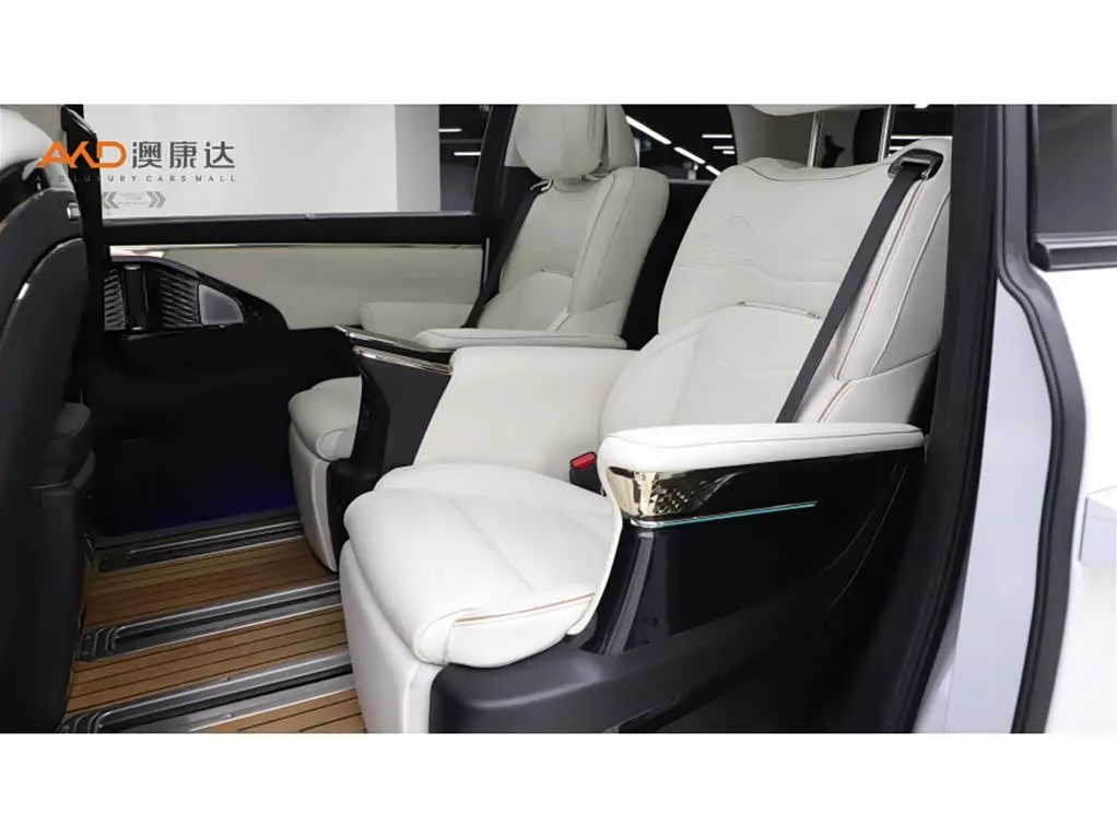 GAC Trumpchi Trumpchi E9 2024 — Фото 7/11