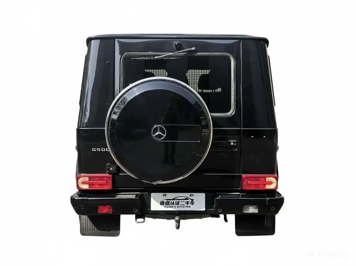 Mercedes-Benz G-Class 2010 — Фото 6/15