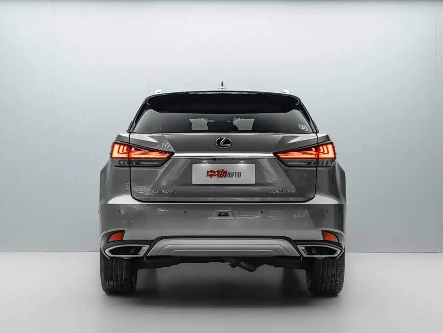 Lexus RX 2021 — Photo 6/20