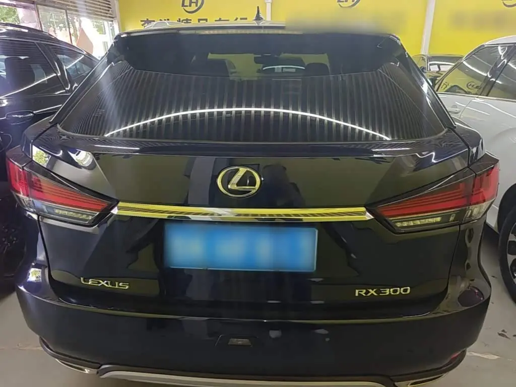 Lexus RX 2021 — Photo 6/20