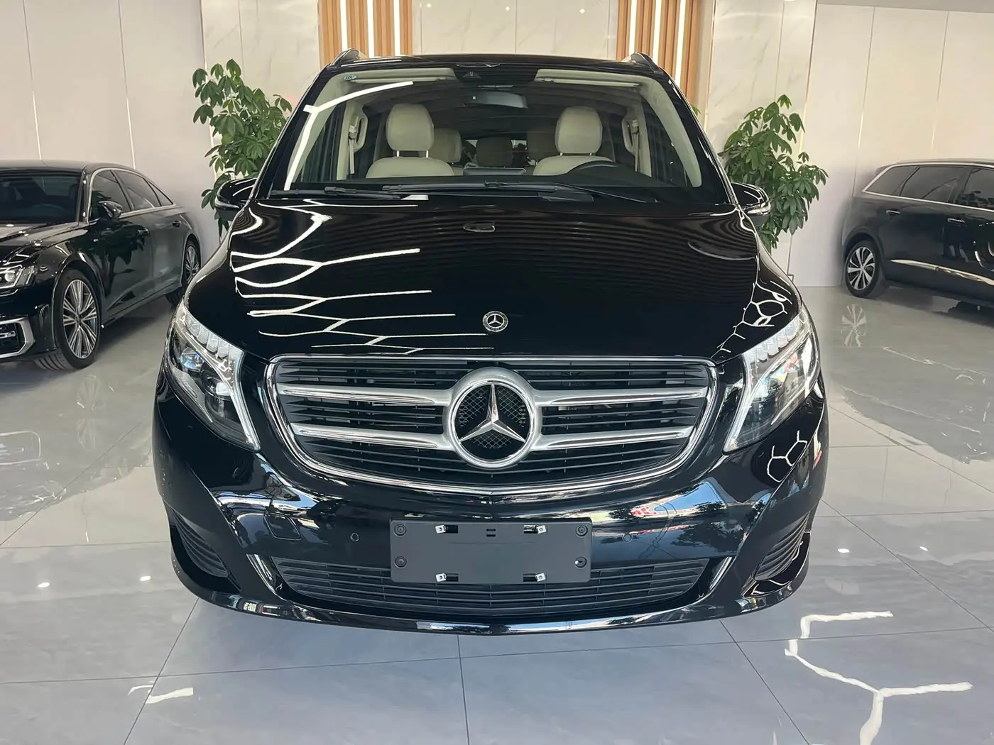 Mercedes-Benz V-Class 2019 — Фото 2/16
