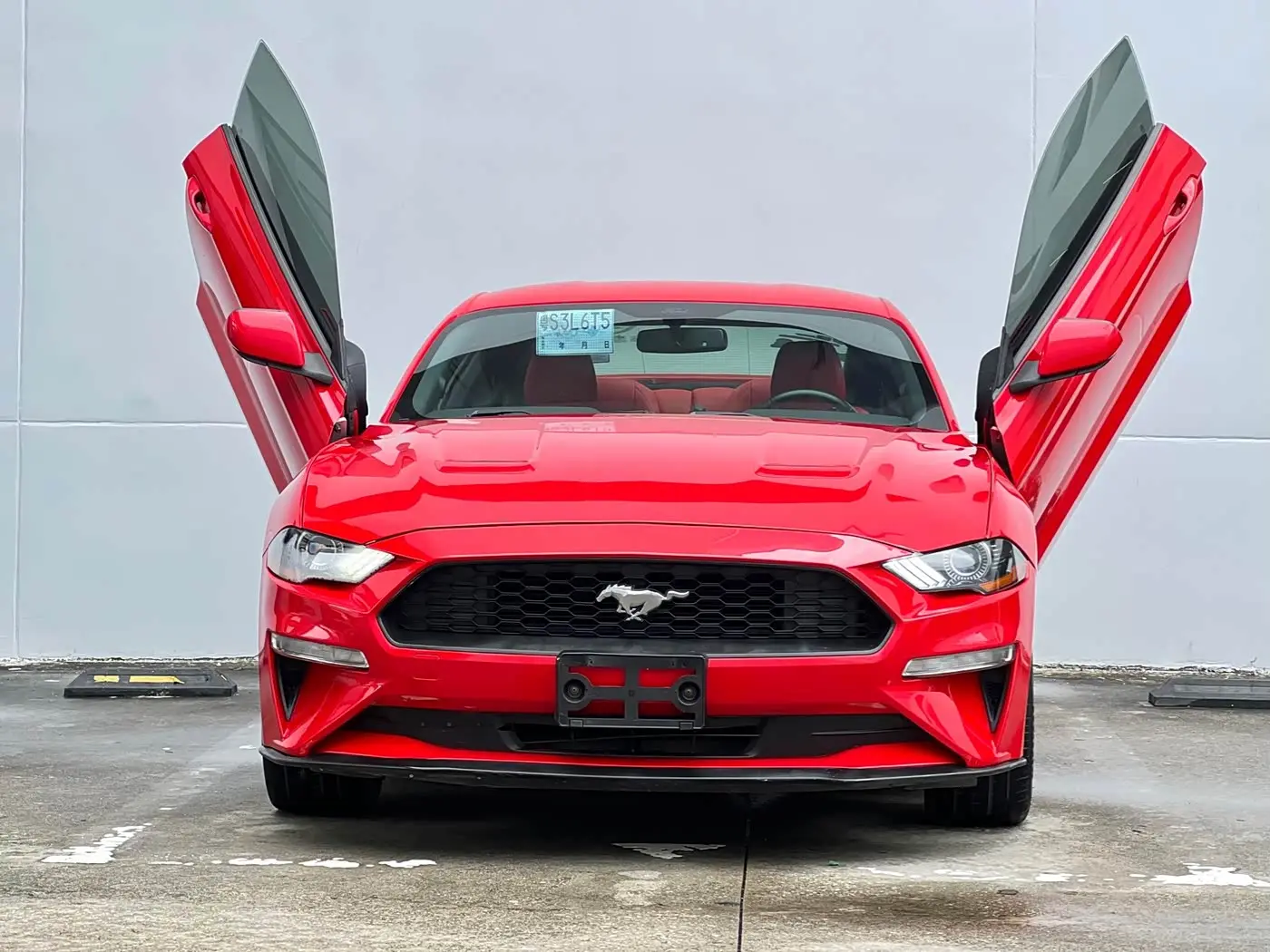 Ford Mustang 2019 — Photo 4/14