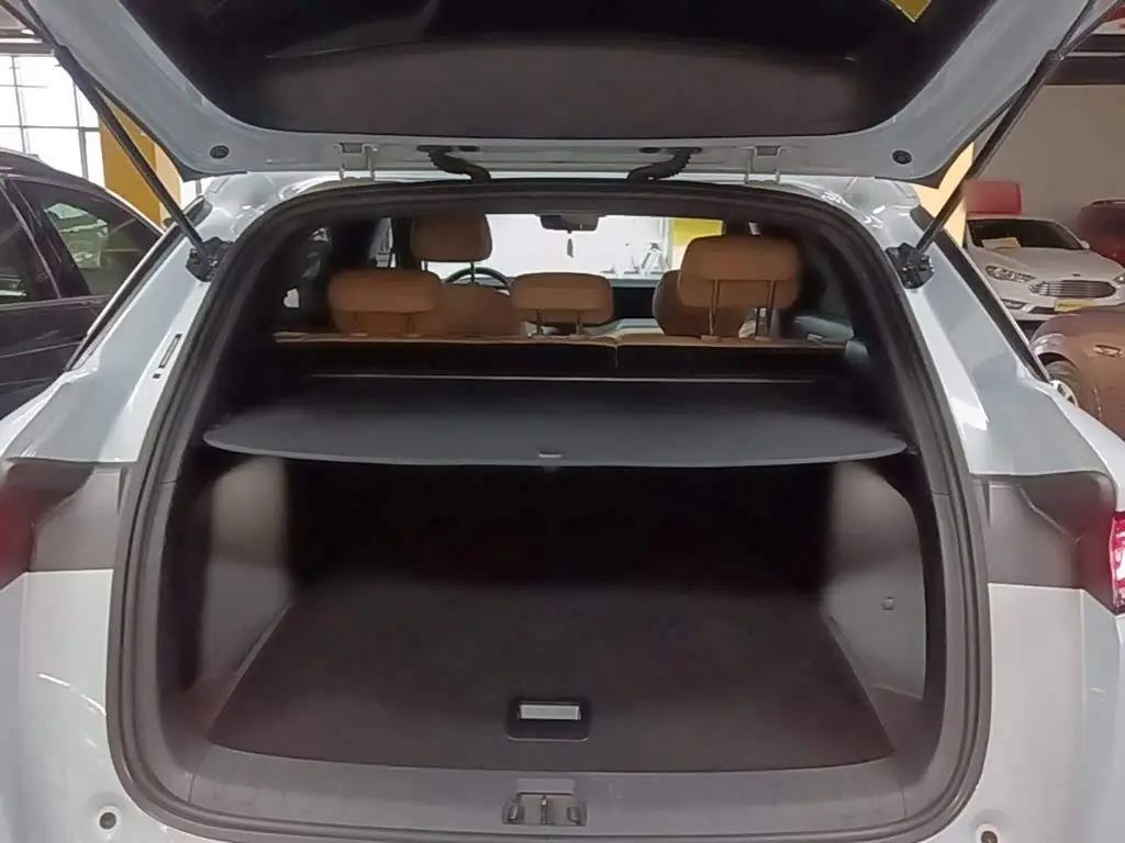 BYD Song L DM-i 2025 — Фото 18/19