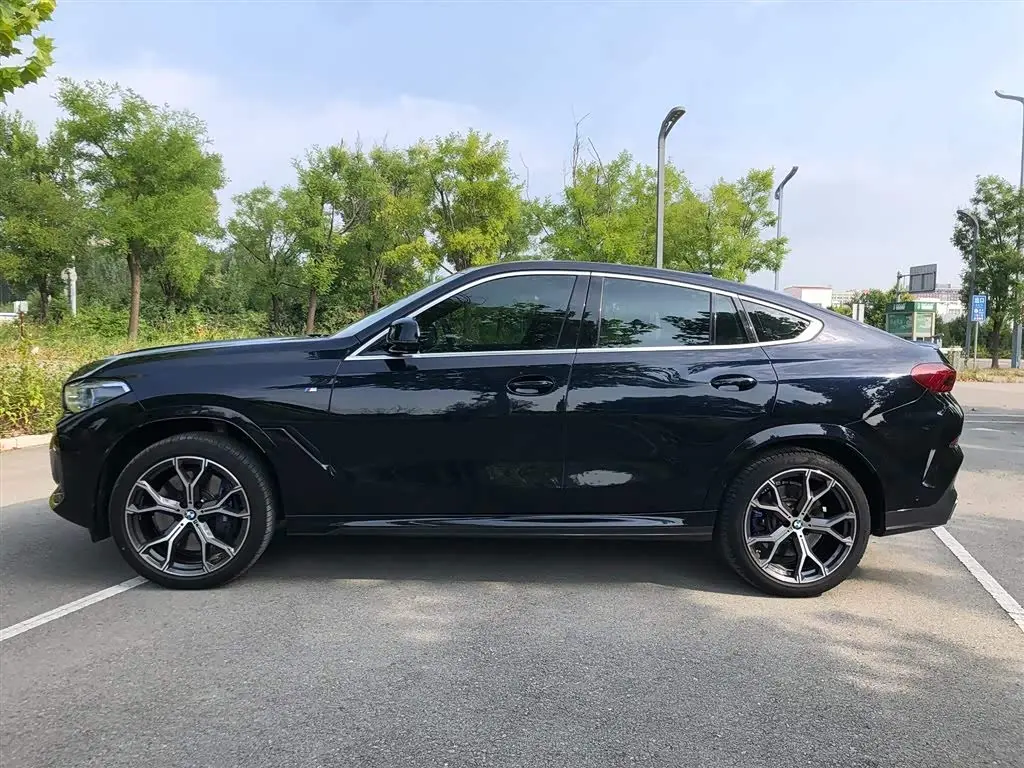 BMW X6 2020 — Şəkil 4/15