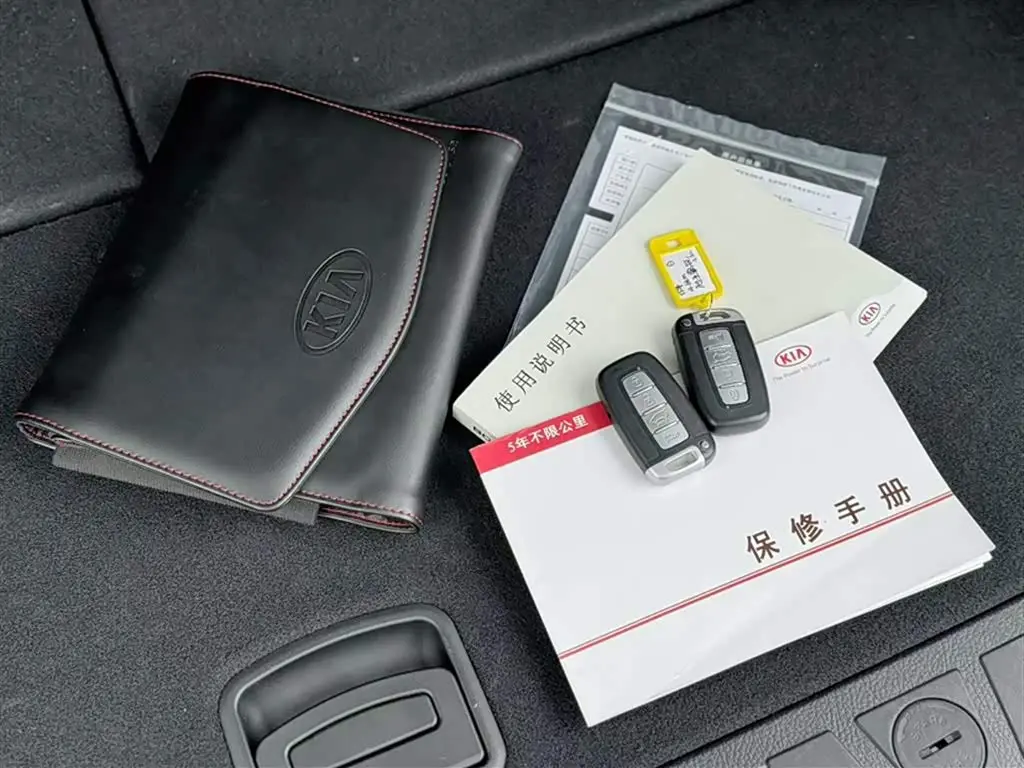 Kia Borego 2015 — Şəkil 7/20