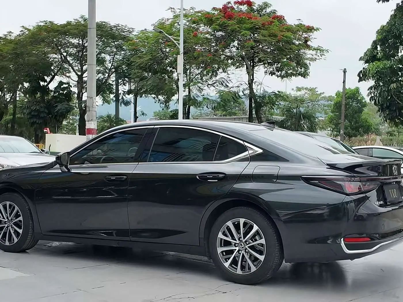 Lexus ES 2025 — Фото 11/11
