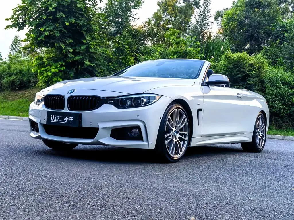 BMW 4 Series 2020 — Photo 1/20