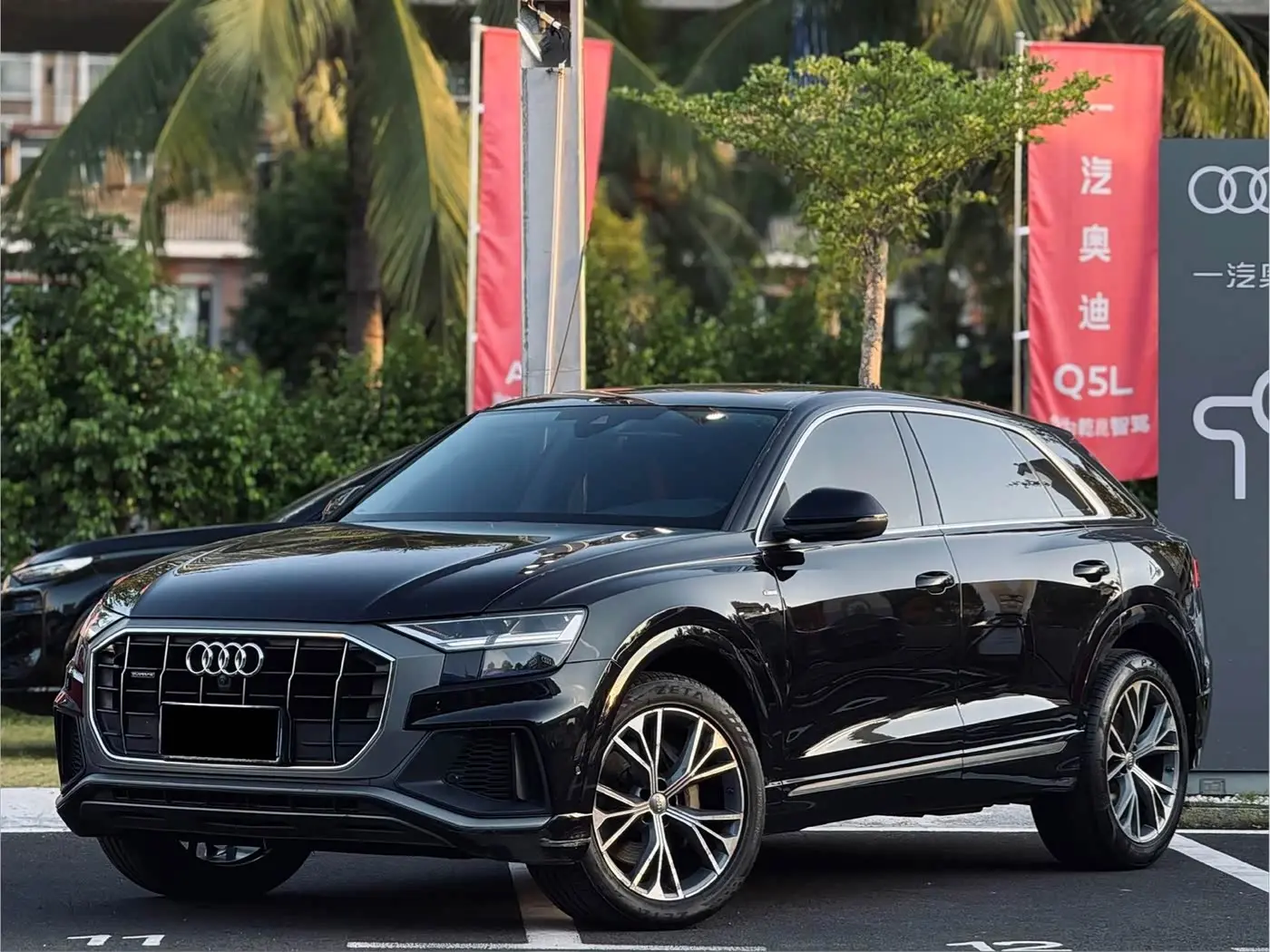 Audi Q8 2020 — Фото 1/14