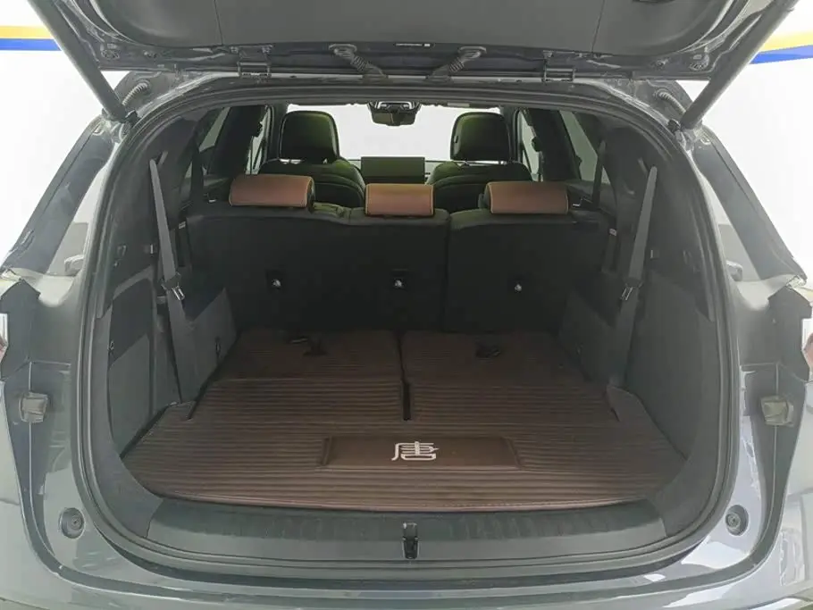 BYD Tang New Energy 2022 — Photo 4/16