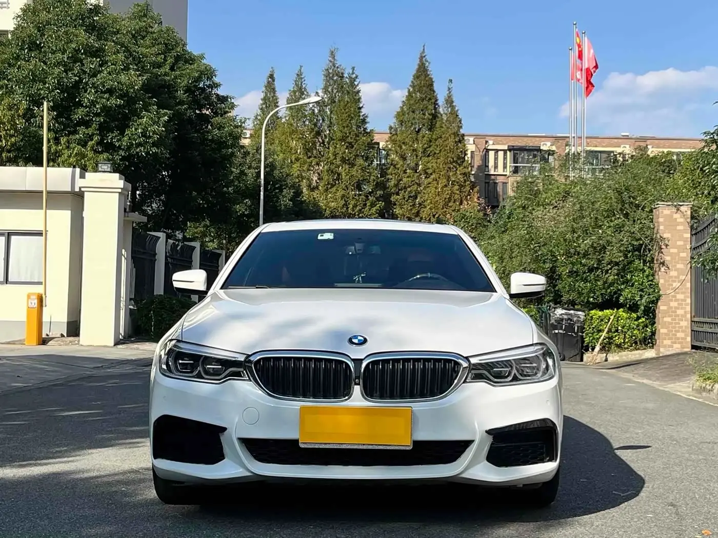 BMW 5 Series 2020 — Photo 2/13