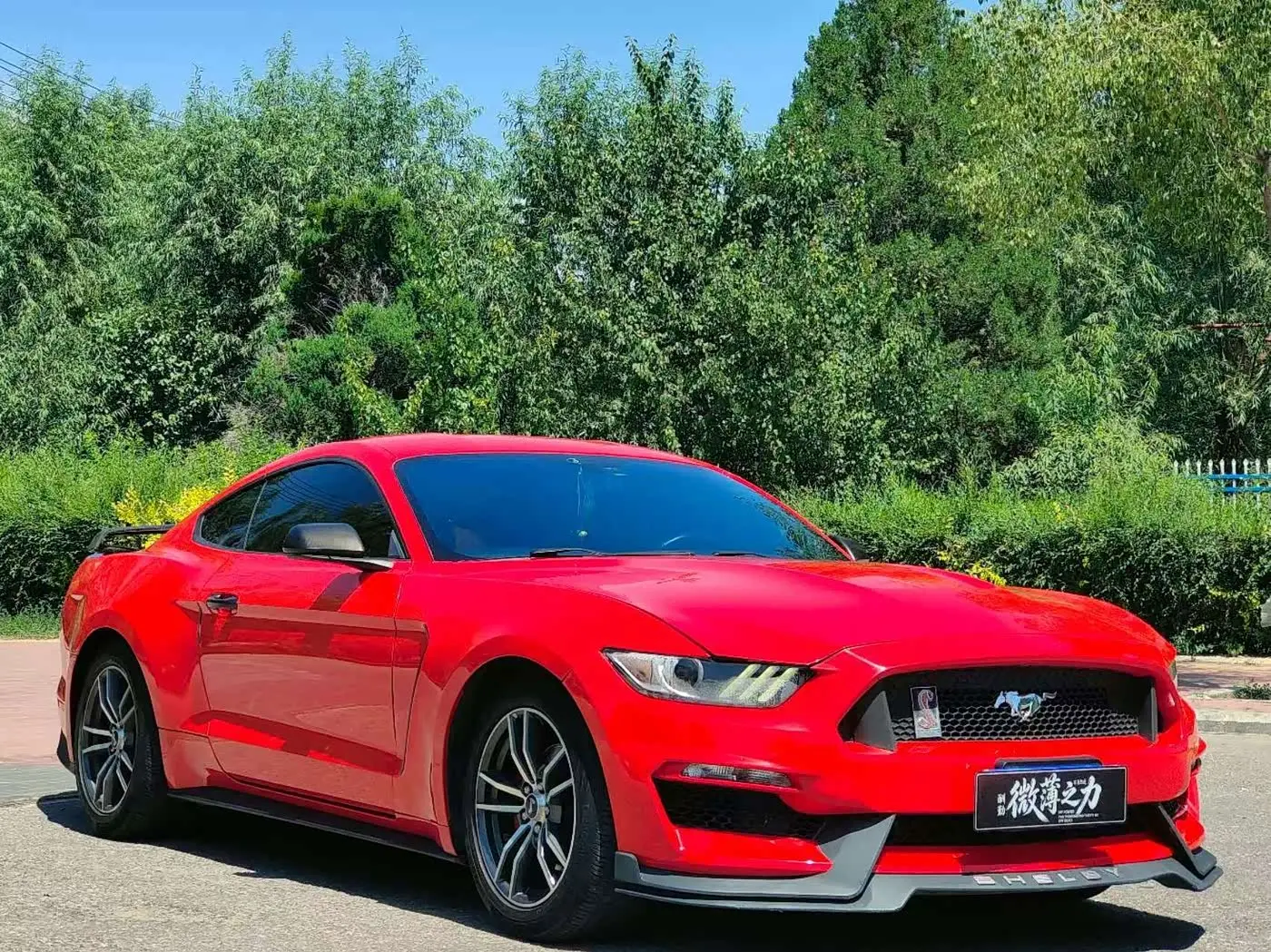 Ford Mustang 2017 — Şəkil 3/9