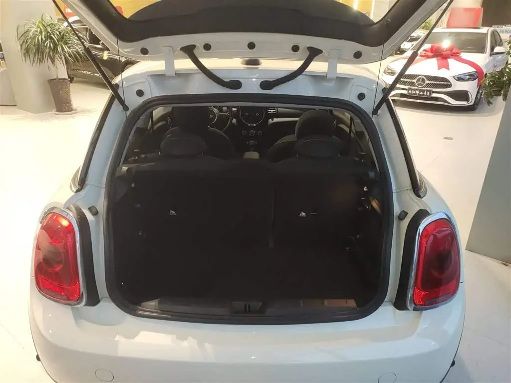 MINI MINI 2018 — Photo 19/20