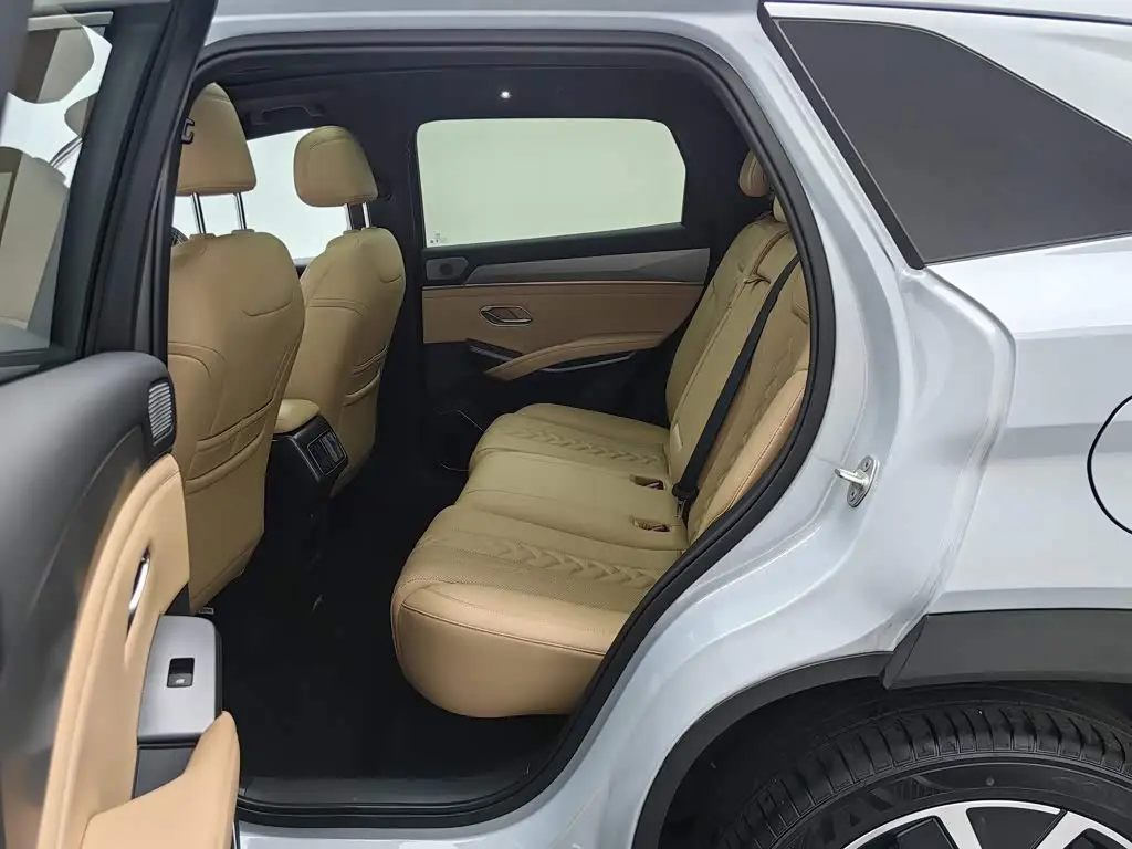 BYD Song L DM-i 2025 — Photo 15/20