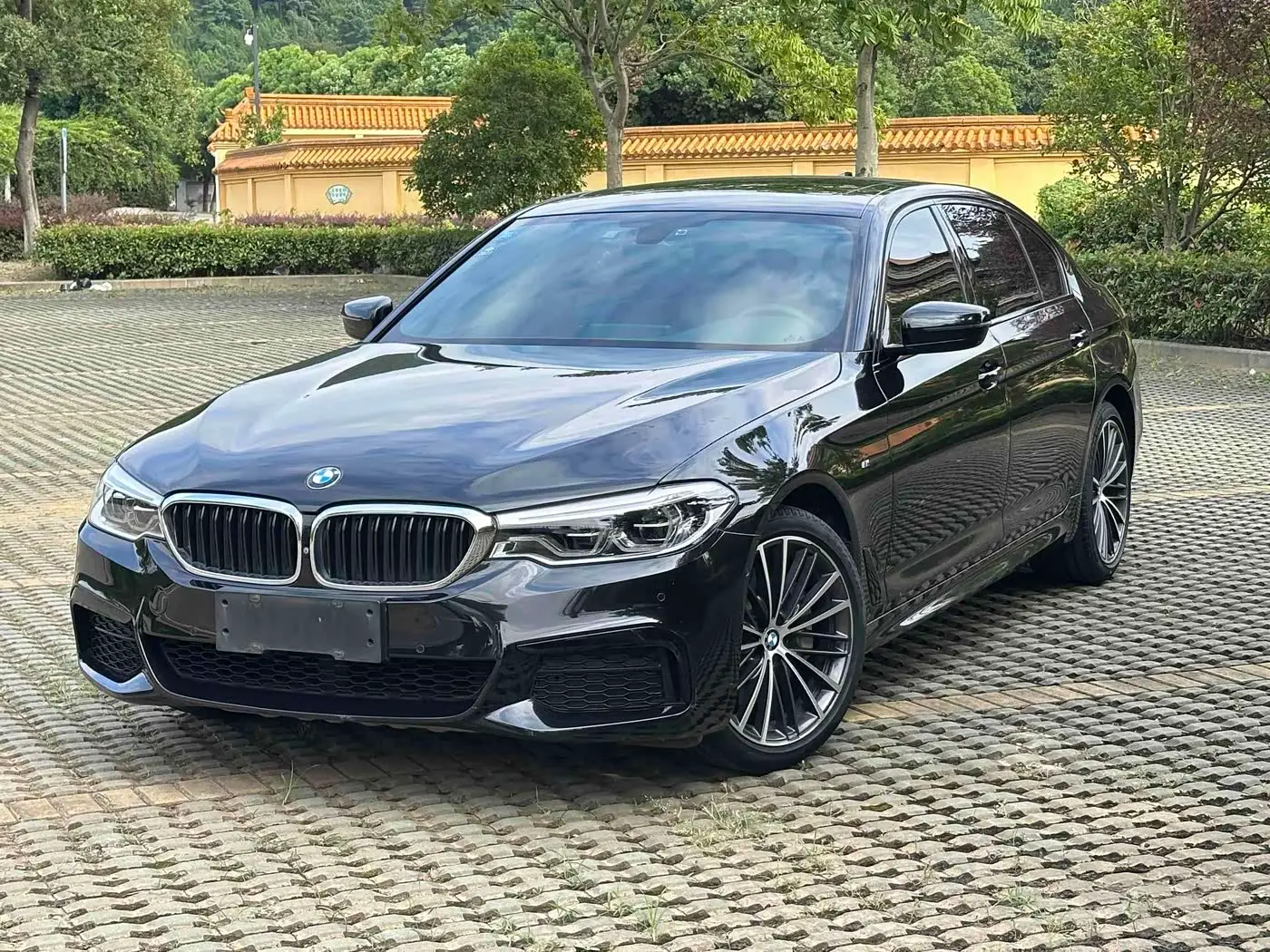 BMW 5 Series, 2019