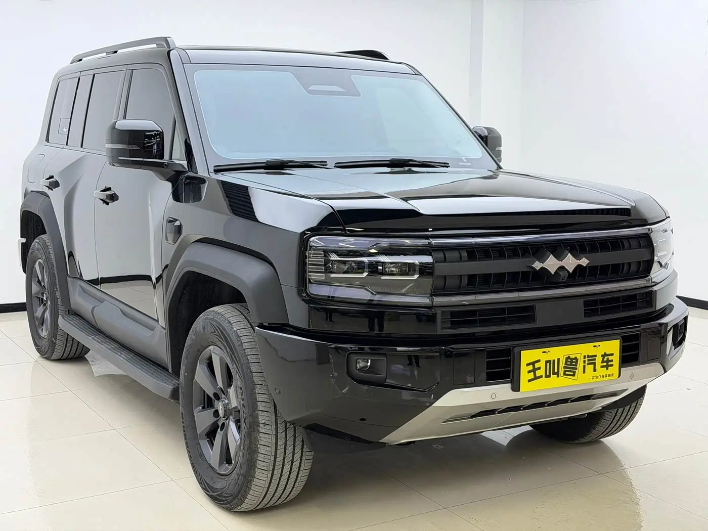 Fang Cheng Bao Leopard 5 2026 — Şəkil 3/9
