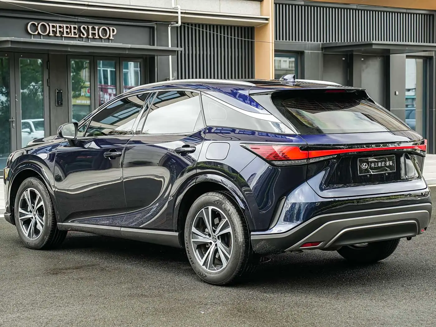 Lexus RX 2023 — Фото 6/20