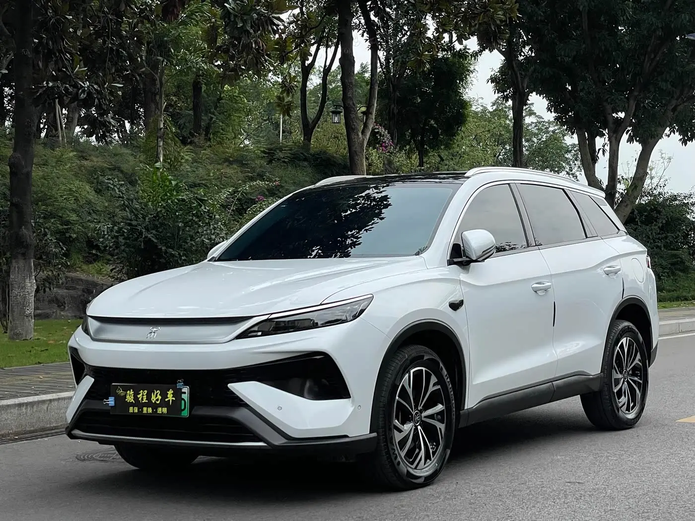 BYD Song Pro New Energy 2025 — Фото 1/20